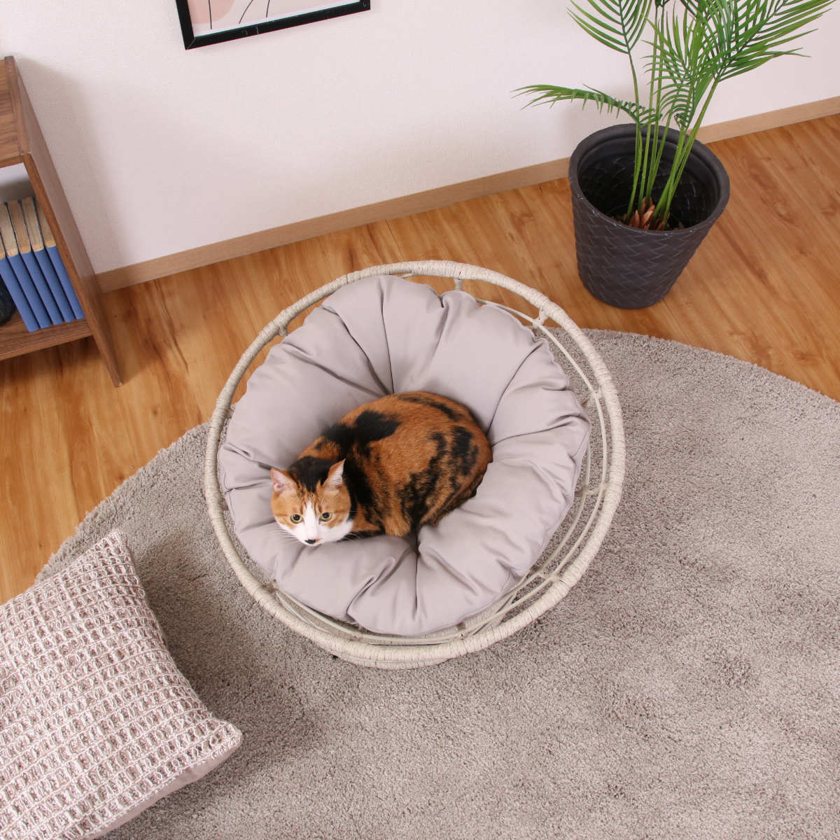 不二貿易（Fuji Boeki） ペットベッド クッションチェア ペット用 猫