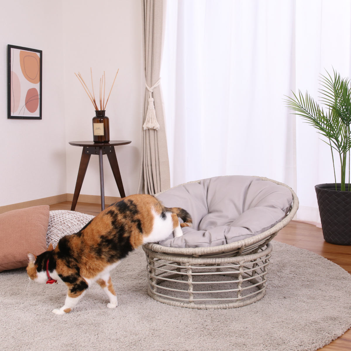 不二貿易（Fuji Boeki） ペットベッド クッションチェア ペット用 猫