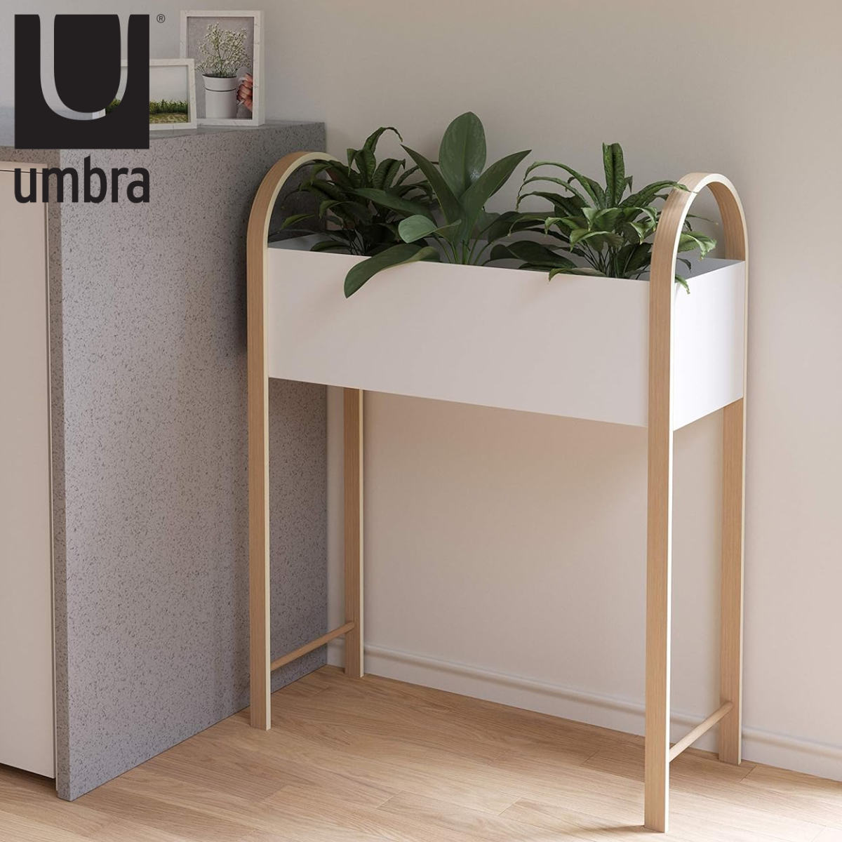 Umbra プランタースタンド プランター グローブ （ スタンド 鉢置き 花台 プラントスタンド プラントポット 植木鉢 プランター台 ）