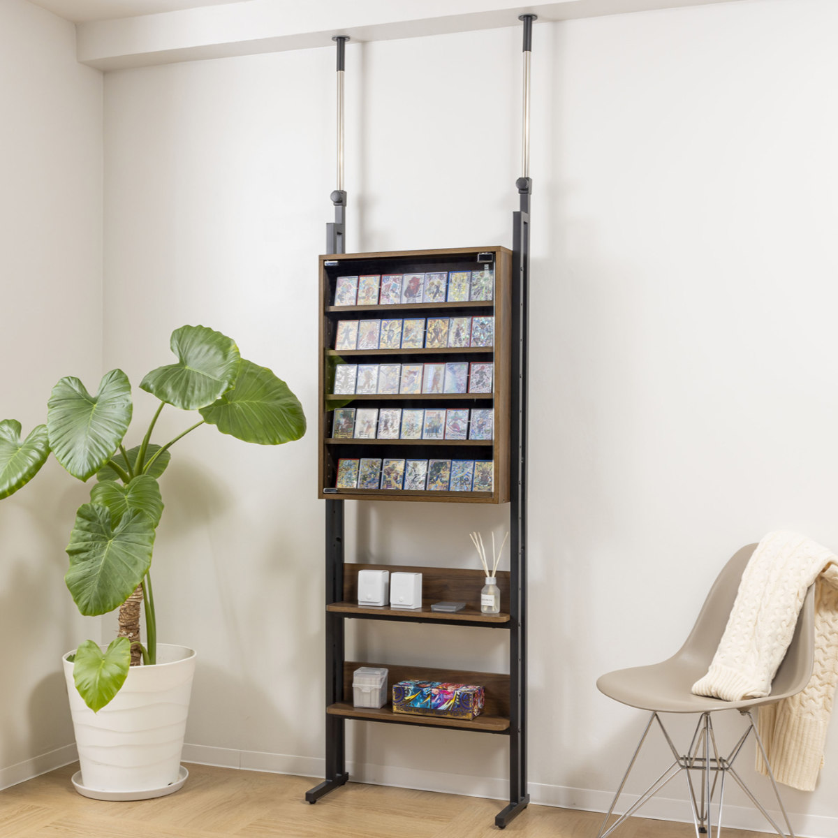 サン・ハーベスト 突っ張り ディスプレイラック 幅60cm カード 耐震