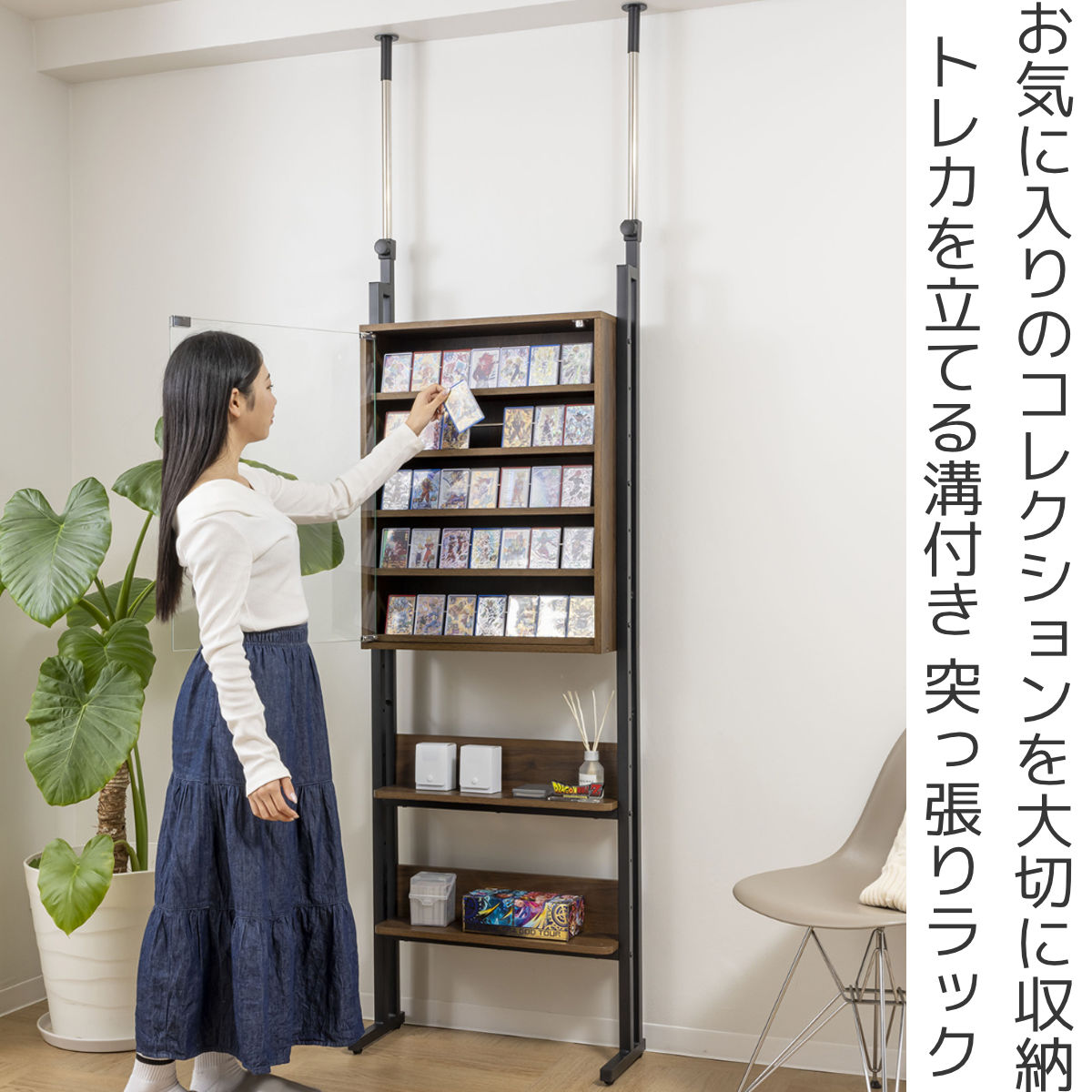 サン・ハーベスト 突っ張り ディスプレイラック 幅60cm カード 耐震