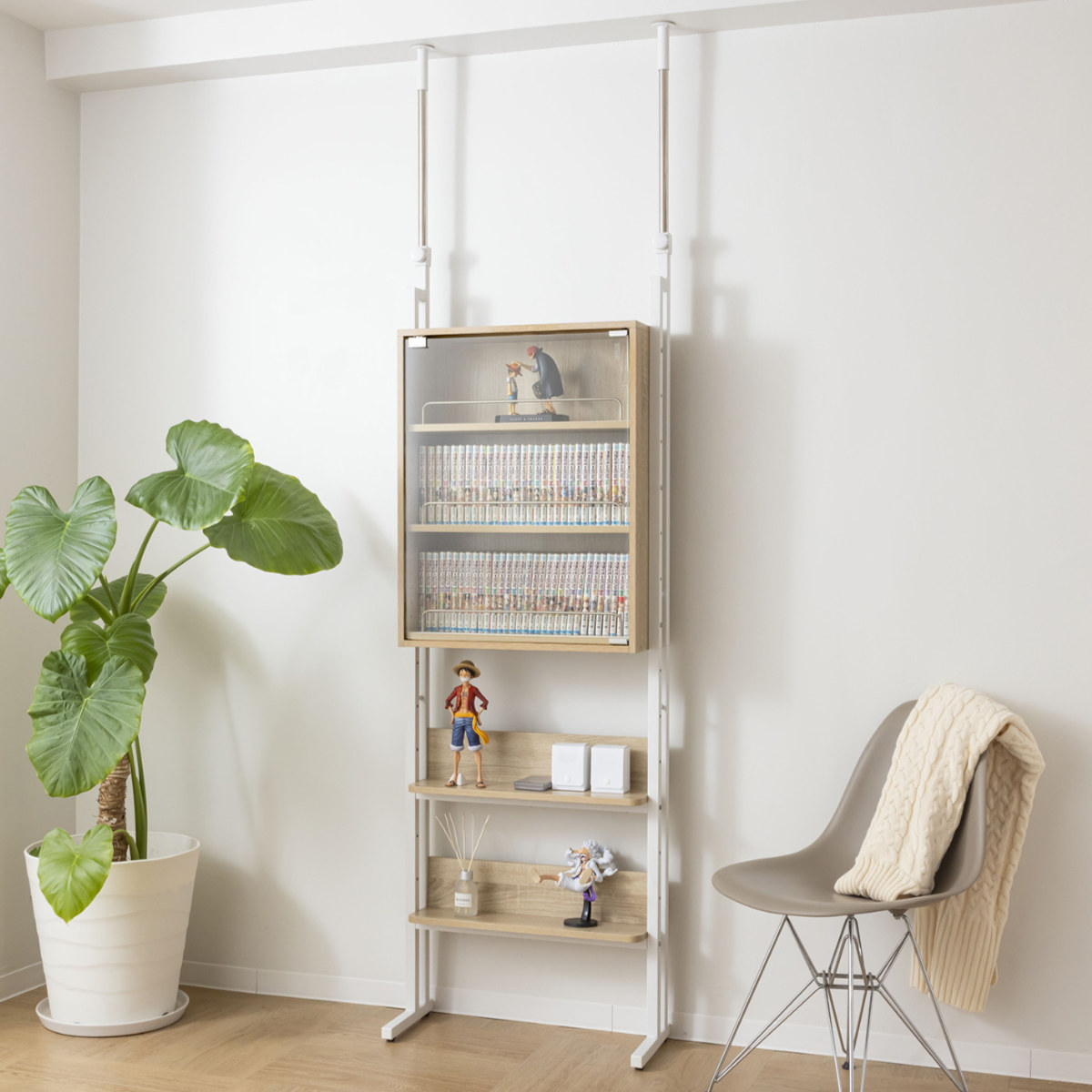 サン・ハーベスト 突っ張り ディスプレイラック 幅60cm カード 耐震