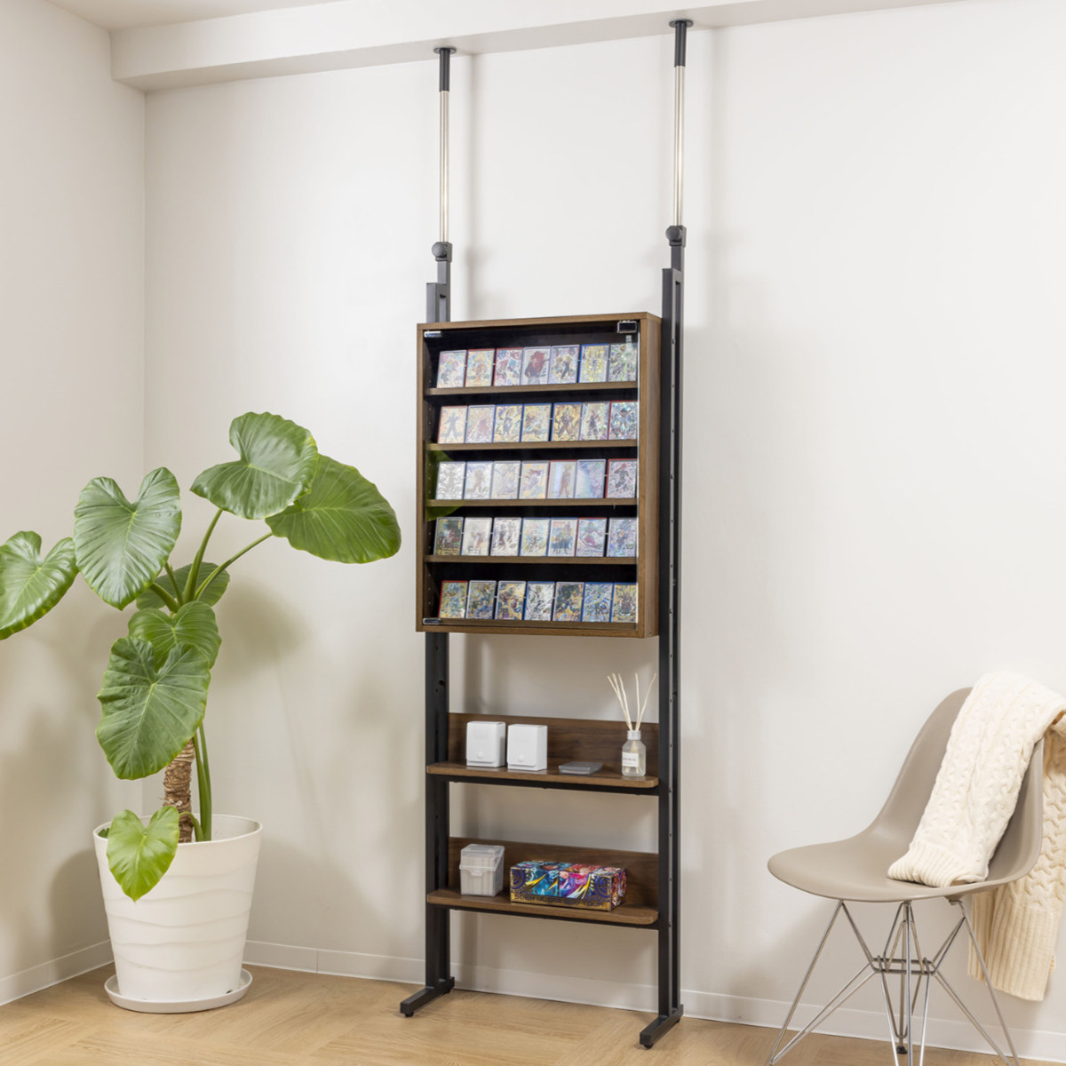 サン・ハーベスト 突っ張り ディスプレイラック 幅60cm カード 耐震