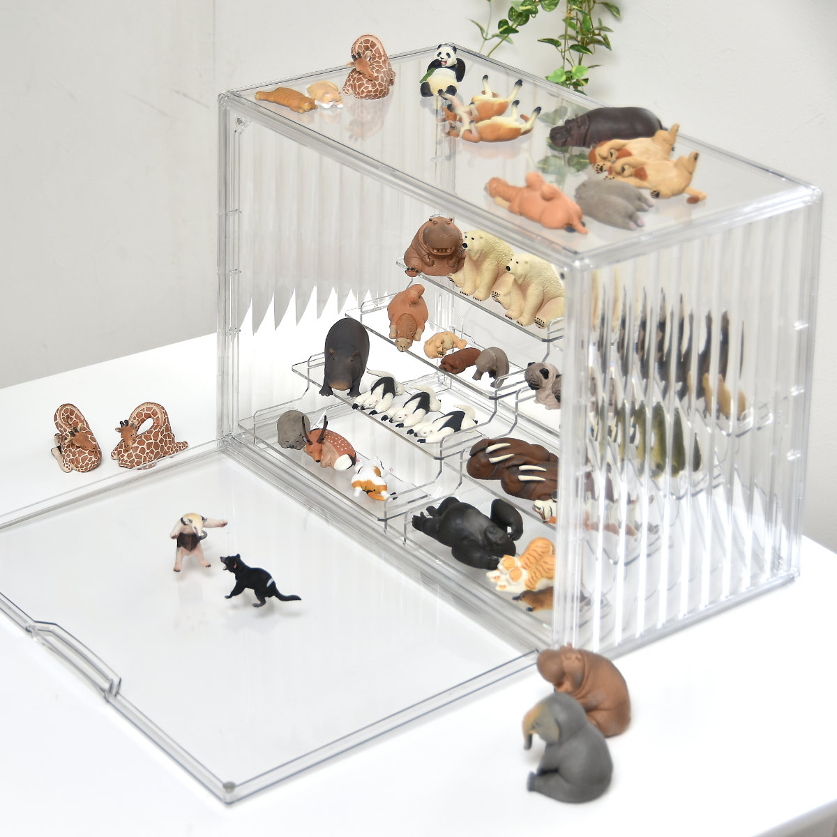 コレクションケース ラダー付き マルチクリアボックス 2個セット 収納