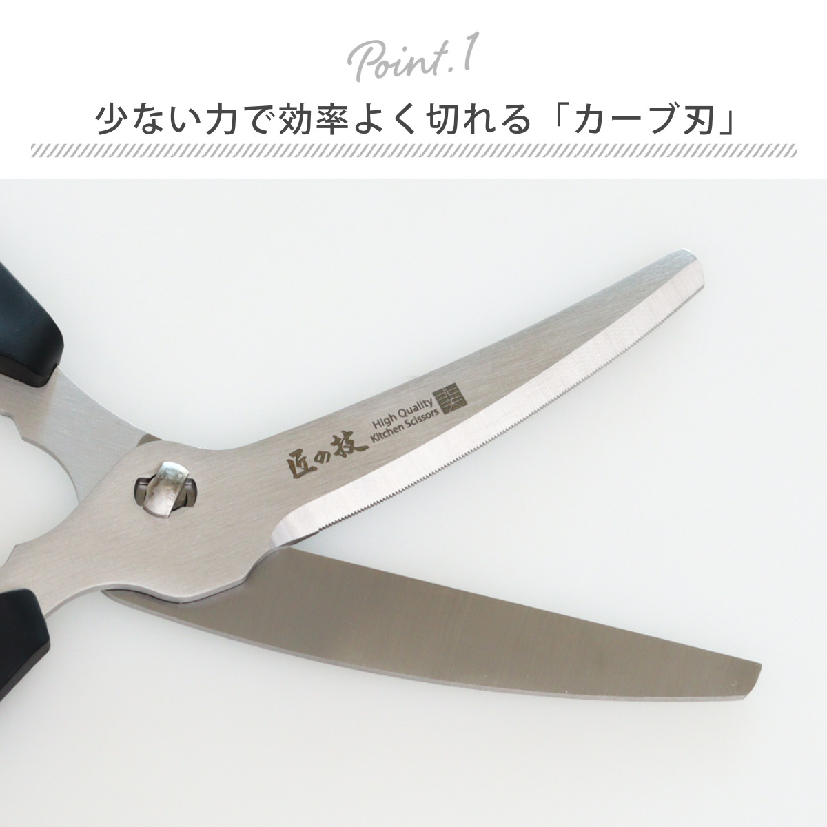 GREEN BELL（グリーンベル） キッチンばさみ 匠の技 食洗機対応 日本製