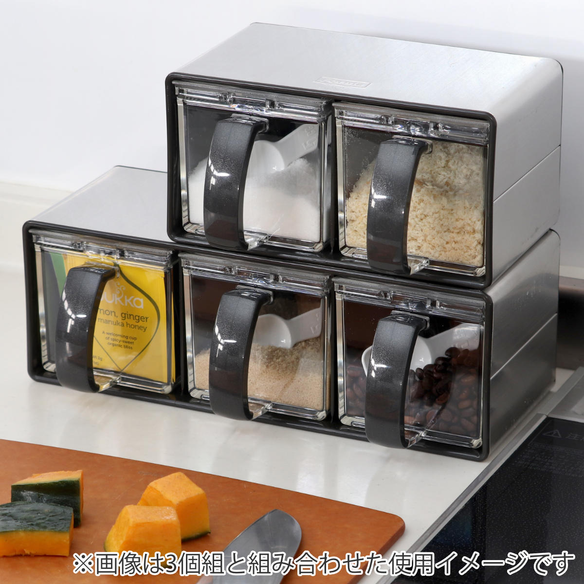 アスベル（ASVEL） 調味料ストッカー 2個組 ステンレス製ラック付き