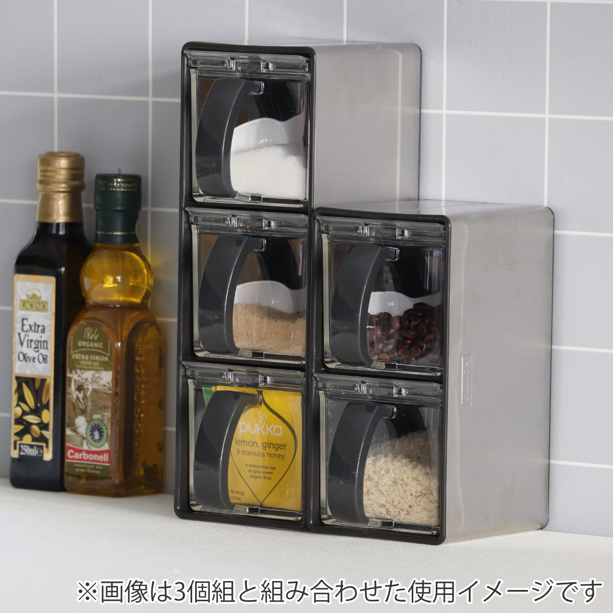 アスベル（ASVEL） 調味料ストッカー 2個組 ステンレス製ラック付き