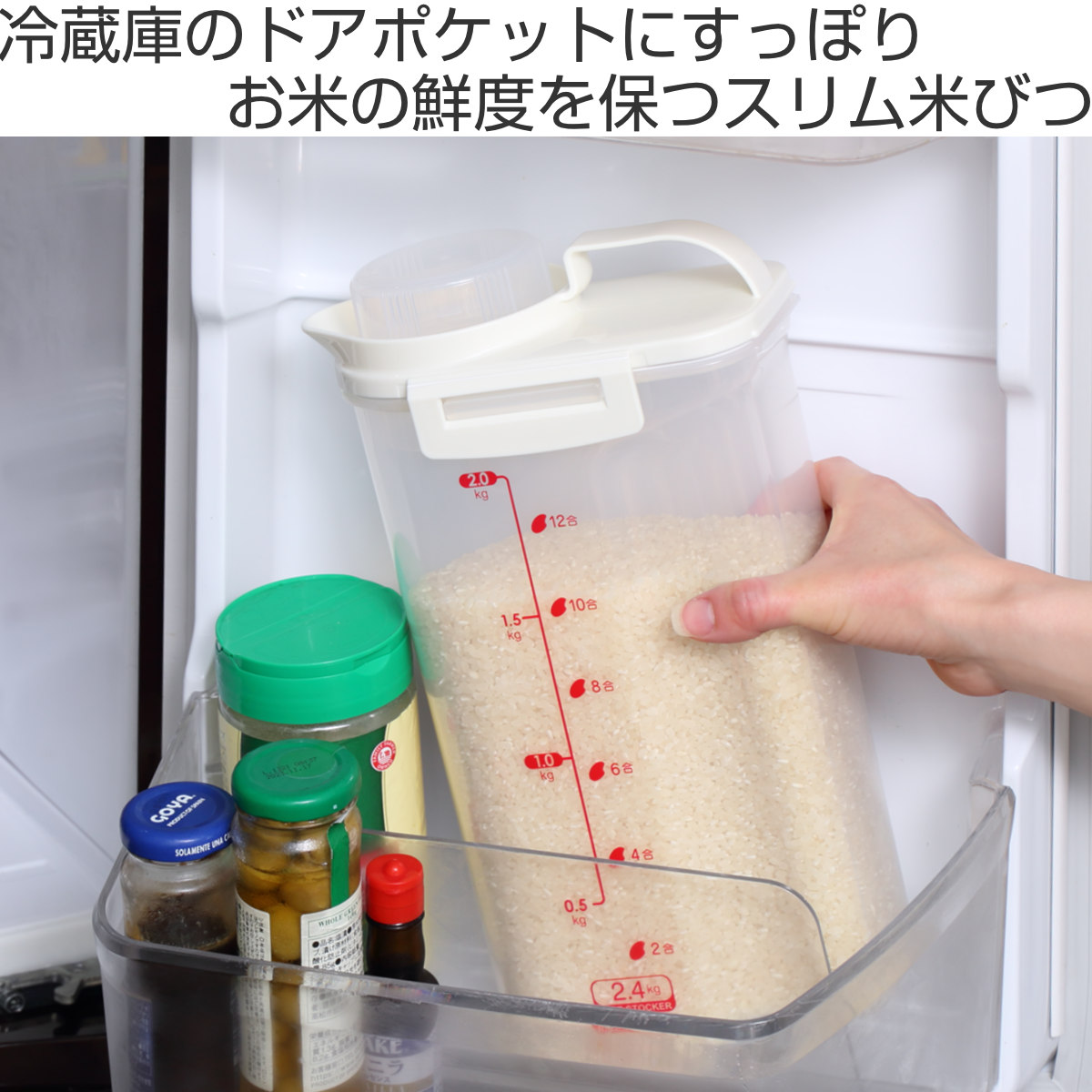 パール金属 米びつ 2.4kg 密閉 ハンディライスストッカー 冷蔵庫
