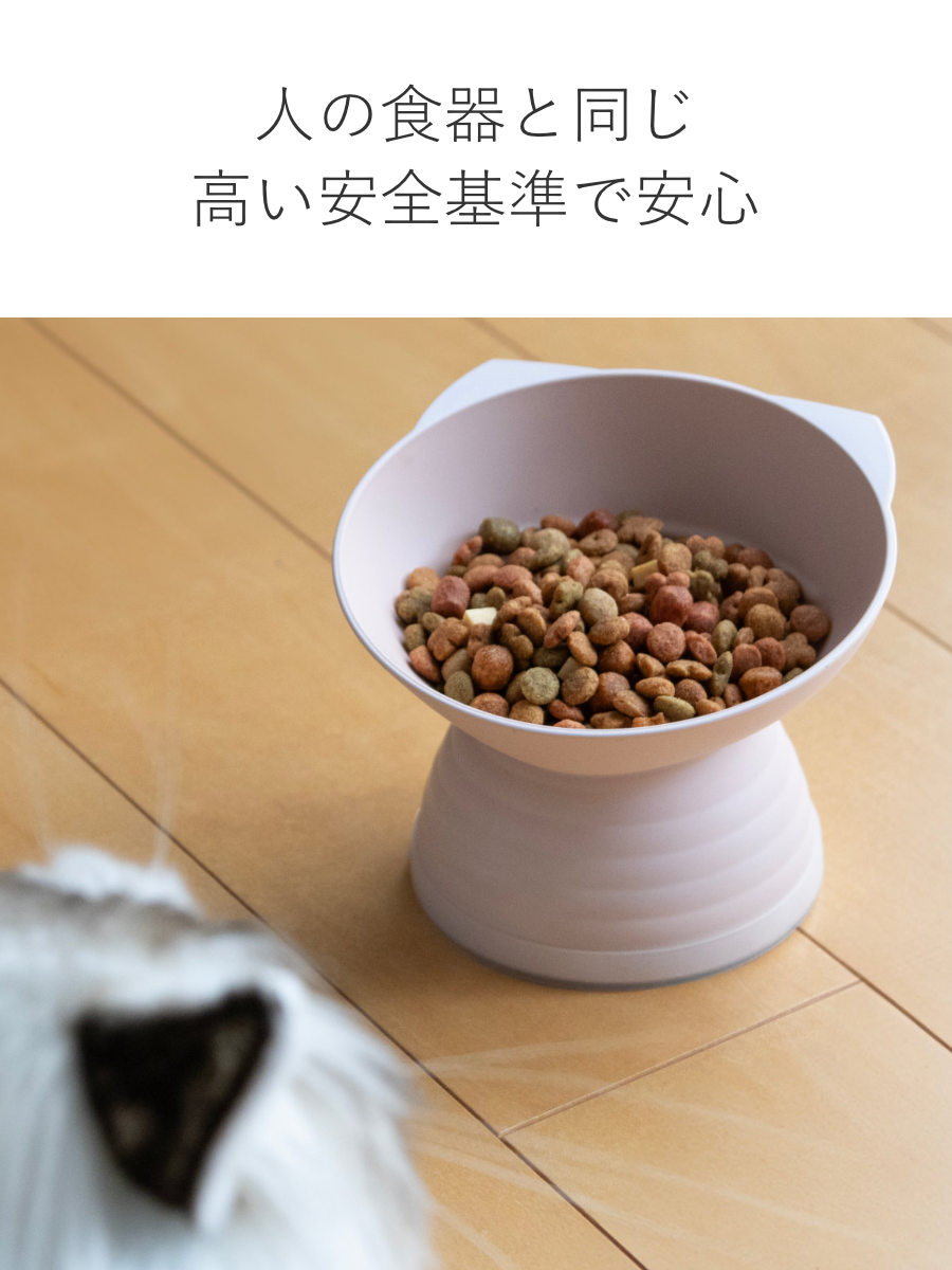 宮本産業 Miya Wan ねこ脚付きフードボウル Caline 高さがある 斜め