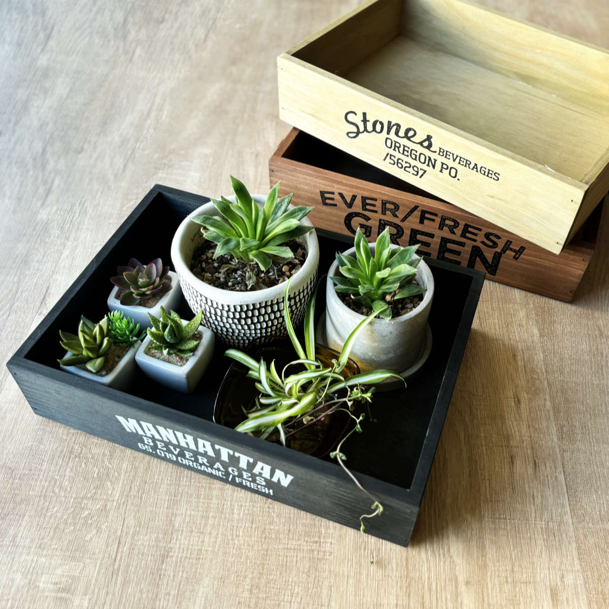 収納ボックス ポプラウッドボックス スタッカブル M 小物入れ （ 幅