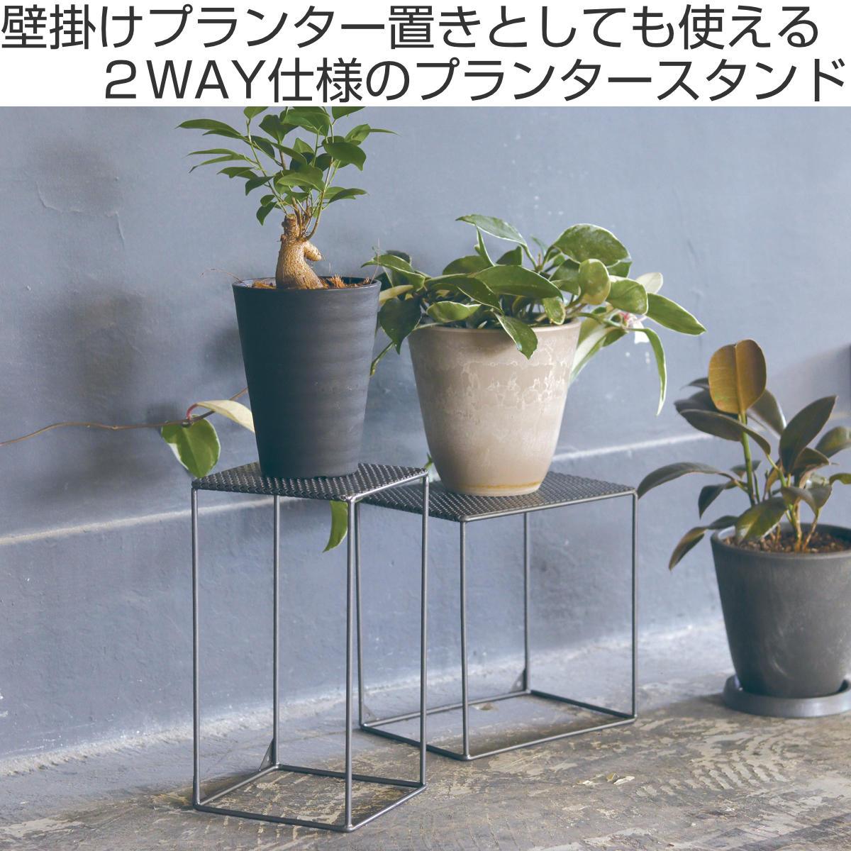 プランタースタンド インダストリアルプランタースタンド メッシュ LOW
