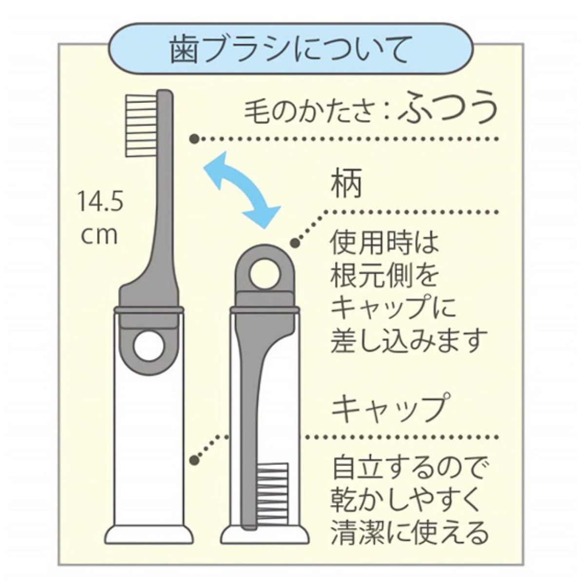 スケーター 歯ブラシ デンタルキット 歯ブラシ付き CNお友だち