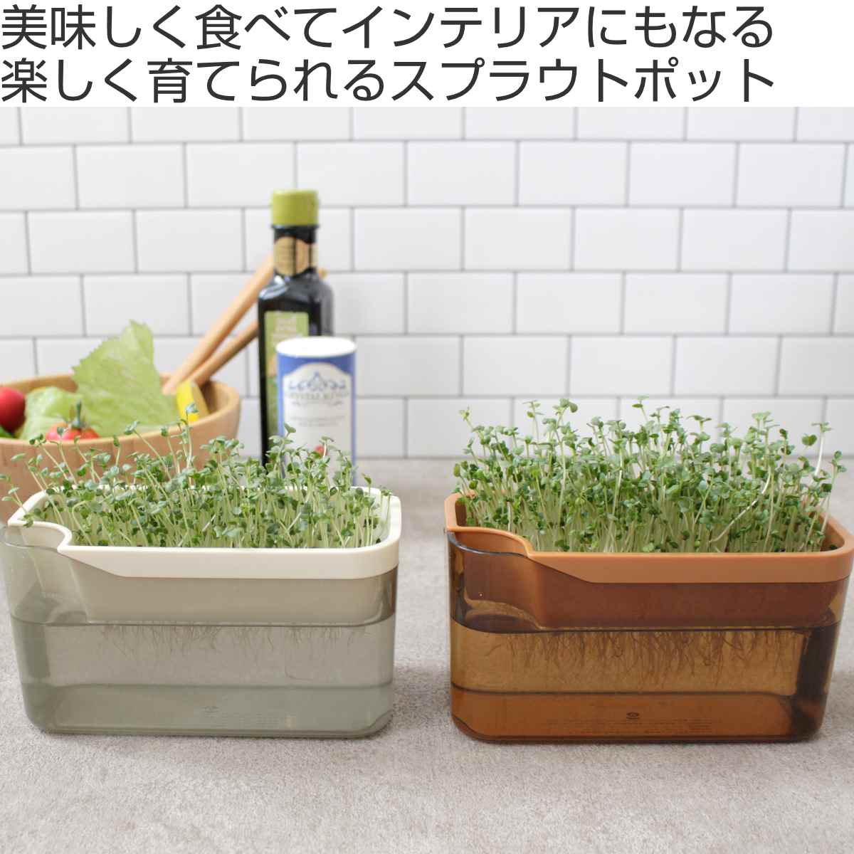 栽培キット ベジマジ そだてる ( 室内 日本...の詳細画像1