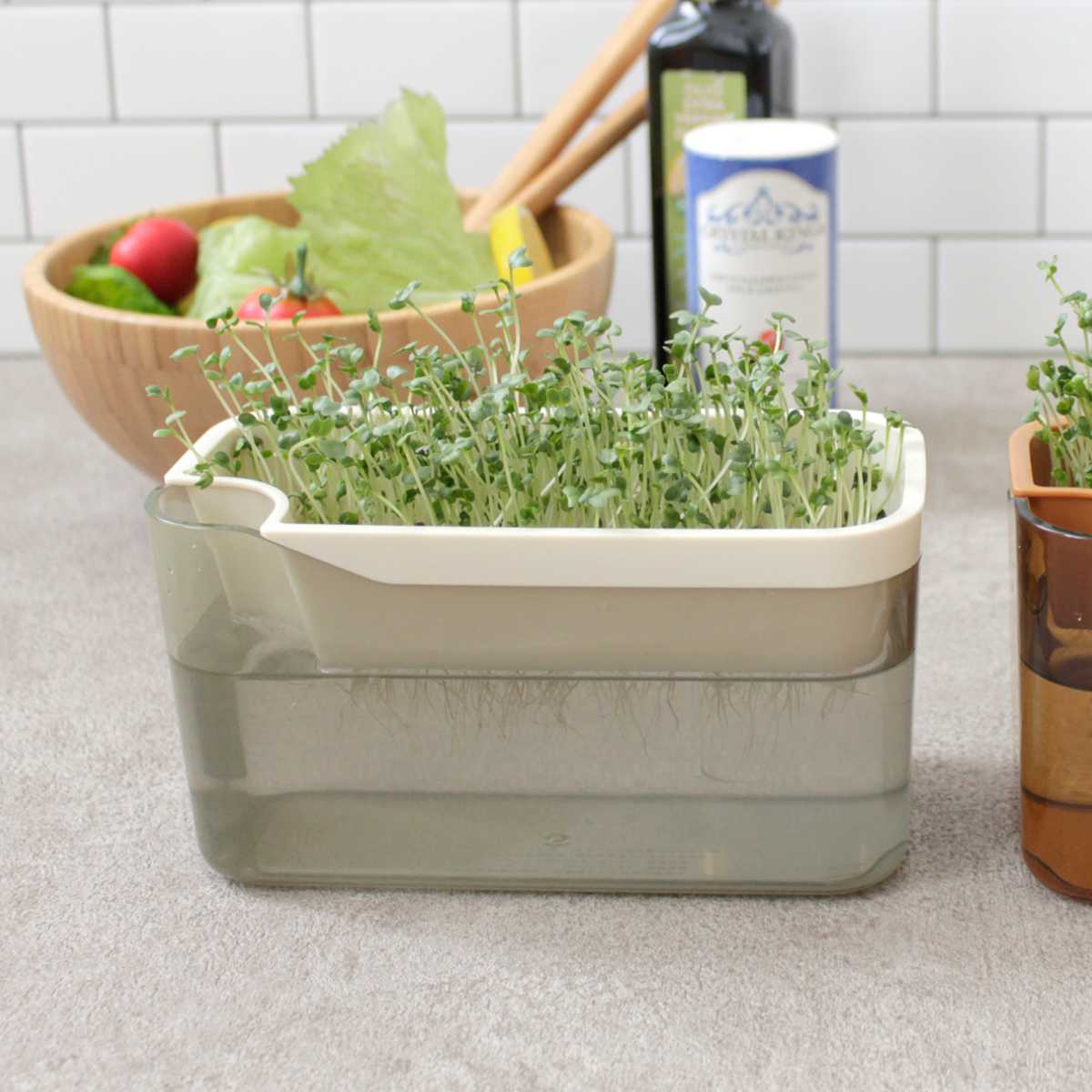 栽培キット ベジマジ そだてる ( 室内 日本...の詳細画像3