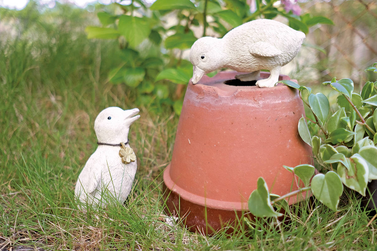 キシマ（KISHIMA） ガーデンオーナメント ダック 2羽 置物