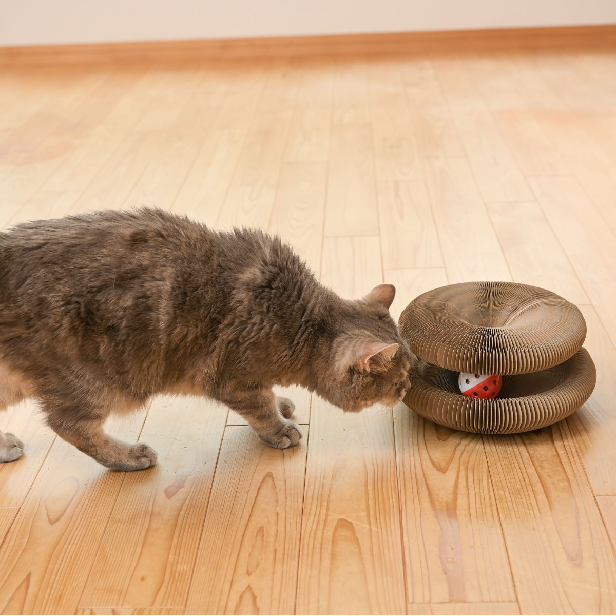 メロジョイ大福ふわふわドーナツ猫爪3点セット Mellojoy猫爪セット