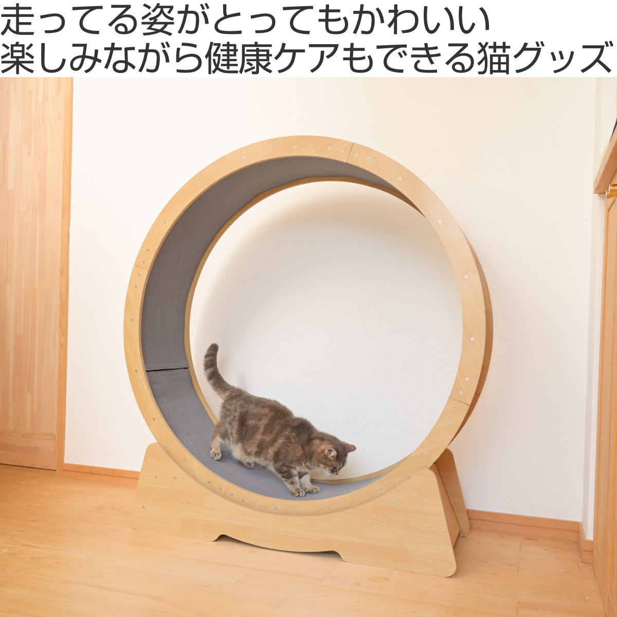 キャットホイール 猫 キャットランナー おもちゃ （ ランニング