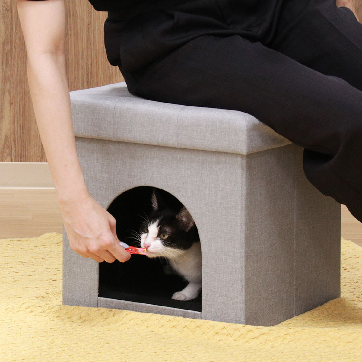 不二貿易（Fuji Boeki） ペットハウス スツール 38cm 室内 （ 犬用 猫