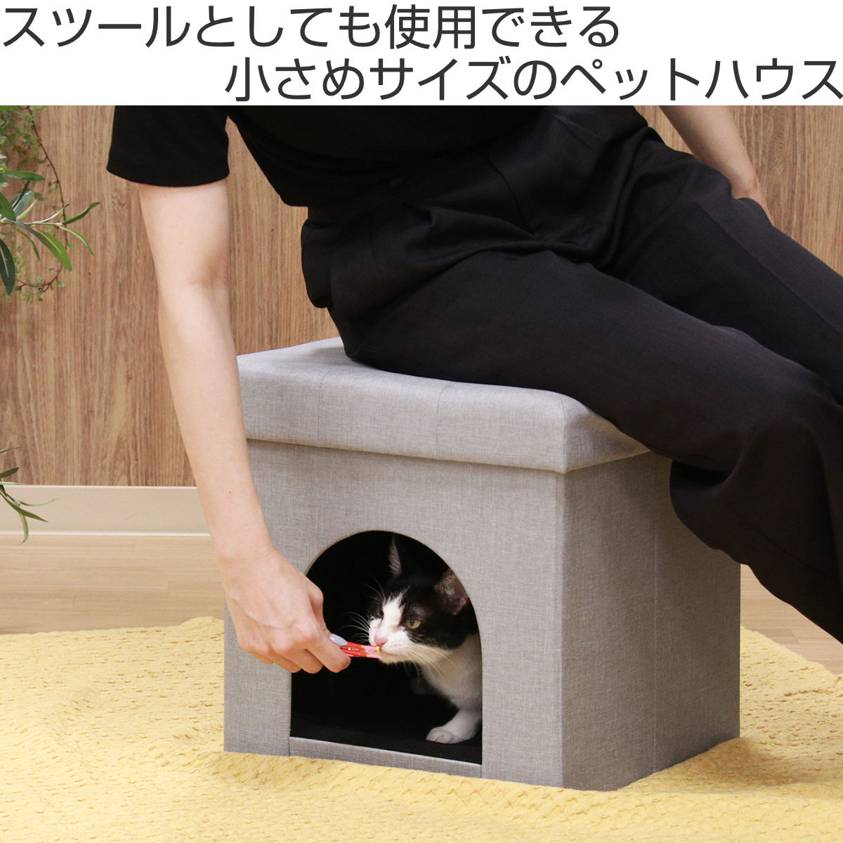 不二貿易（Fuji Boeki） ペットハウス スツール 38cm 室内 （ 犬用 猫