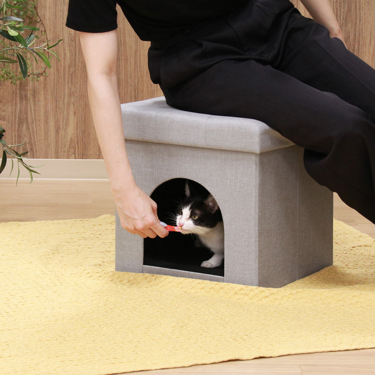 不二貿易（Fuji Boeki） ペットハウス スツール 38cm 室内 （ 犬用 猫