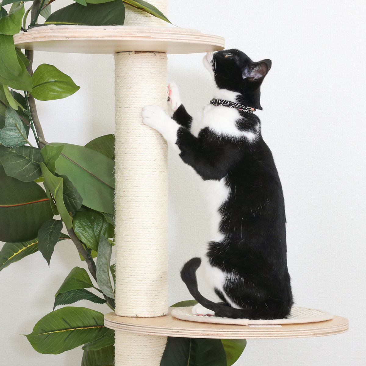 不二貿易（Fuji Boeki） キャットタワー ねこの休ら木 ソラ 爪とぎ