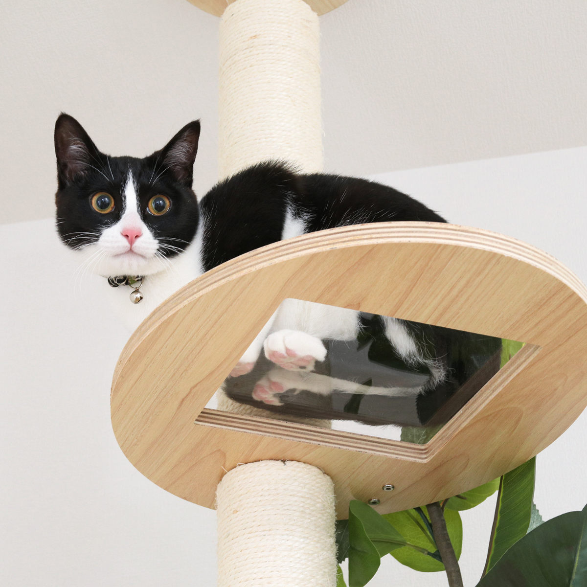 不二貿易（Fuji Boeki） キャットタワー ねこの休ら木 ソラ 爪とぎ