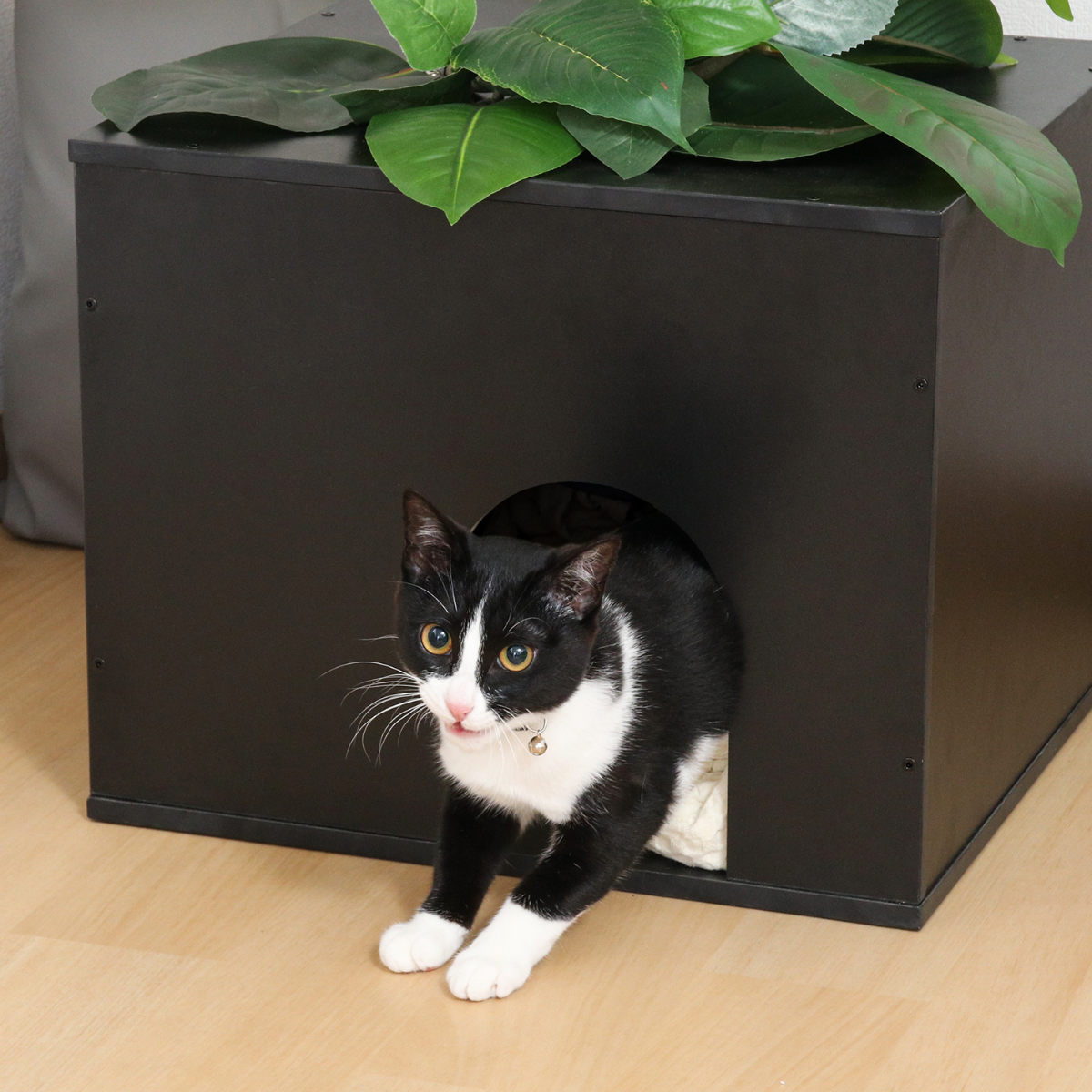 不二貿易（Fuji Boeki） キャットタワー ねこの休ら木 ソラ 爪とぎ