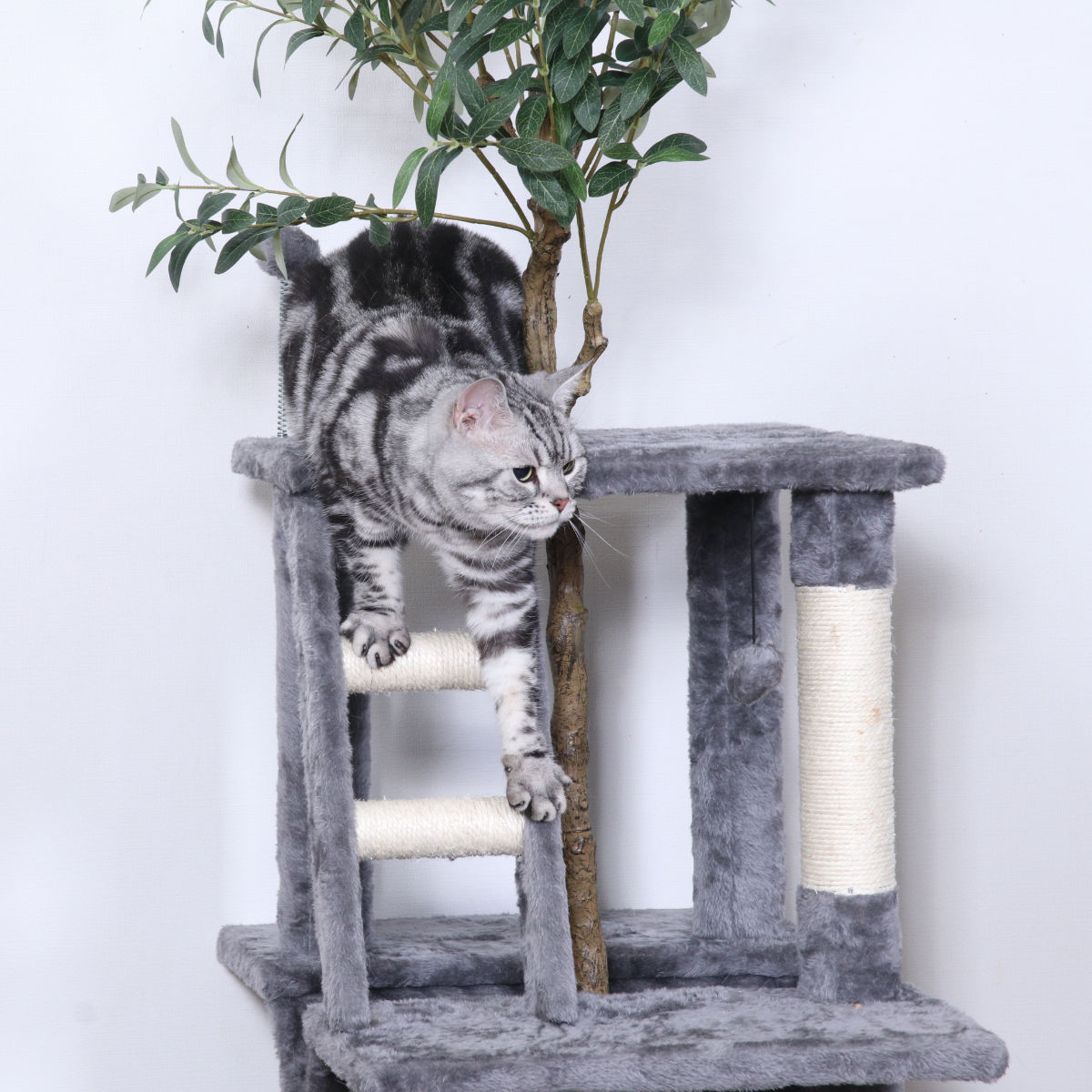 不二貿易（Fuji Boeki） キャットタワー ねこの休ら木 マロン 爪とぎ