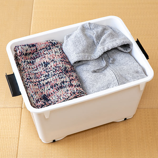 衣装ケース クローゼット収納 コロ付き 幅38.5×奥行50×高さ30cm 深型