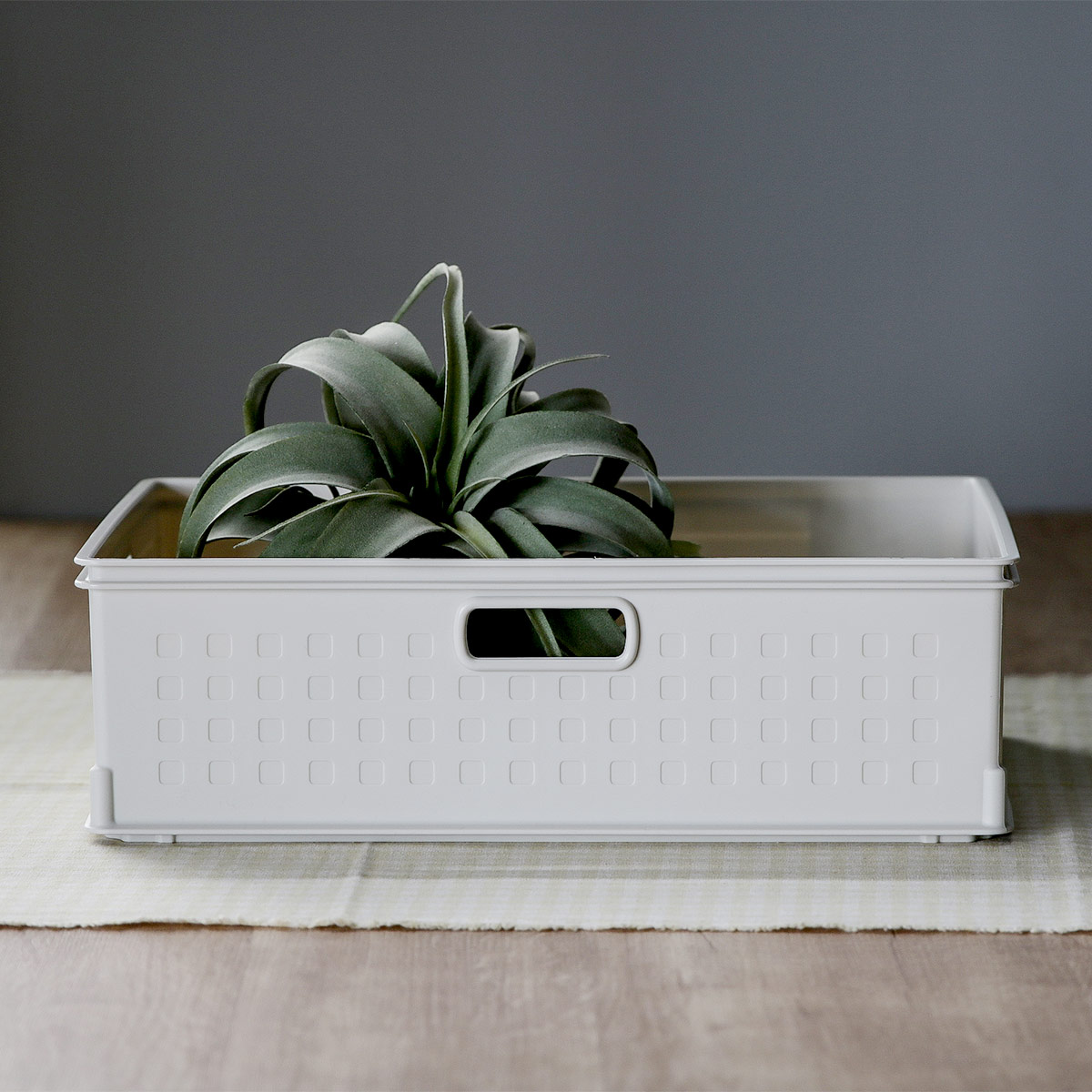 収納ボックス カラーボックス用 高さ12cm 12個セット （ 幅39.5×奥行