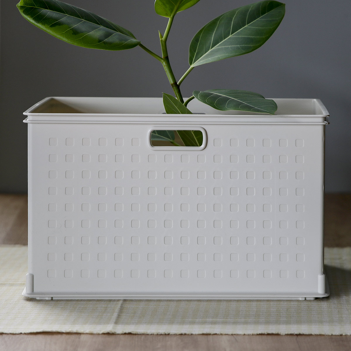 収納ボックス カラーボックス用 RE 高さ24cm 9個セット （ 幅39.5×奥行