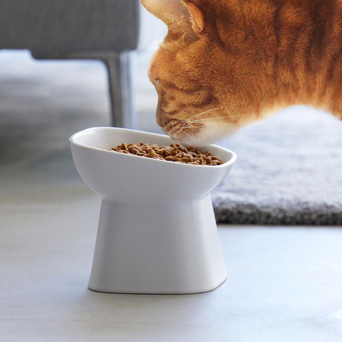 山崎実業 nooks 食べやすい高さ陶器ペットフードボウル ヌークス 斜め