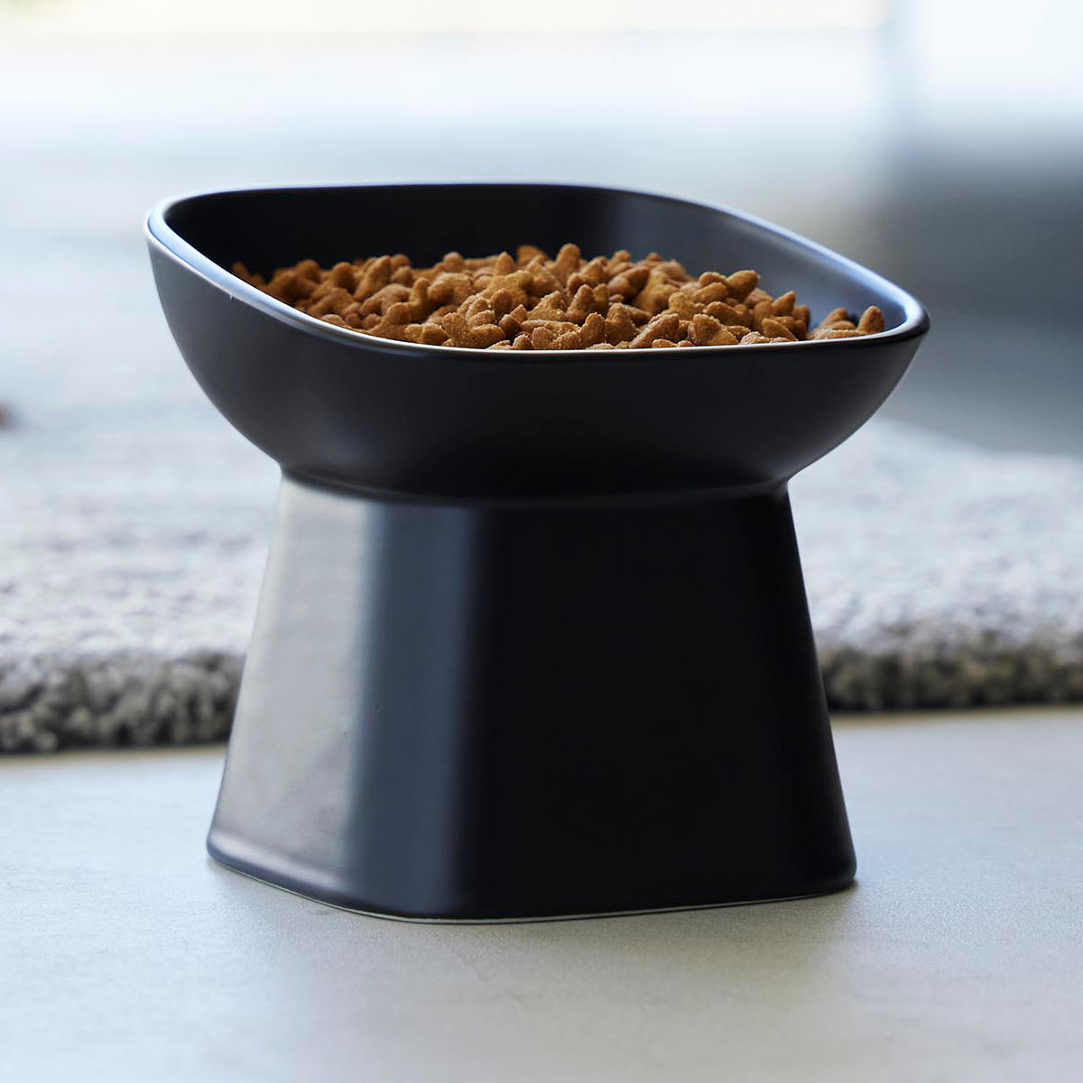 山崎実業 nooks 食べやすい高さ陶器ペットフードボウル ヌークス 斜め