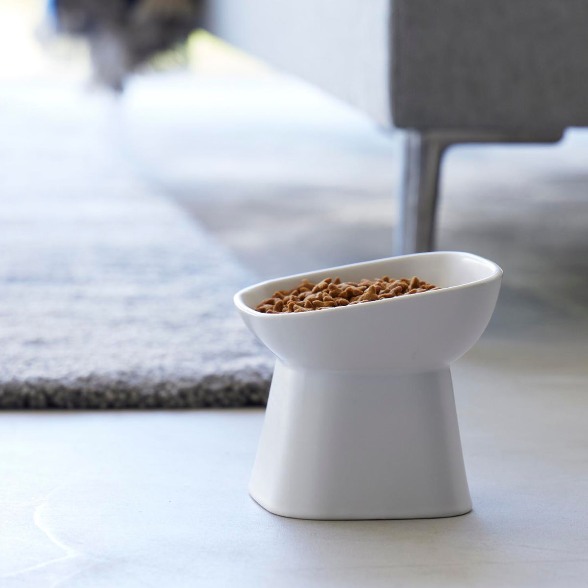 山崎実業 nooks 食べやすい高さ陶器ペットフードボウル ヌークス 斜め