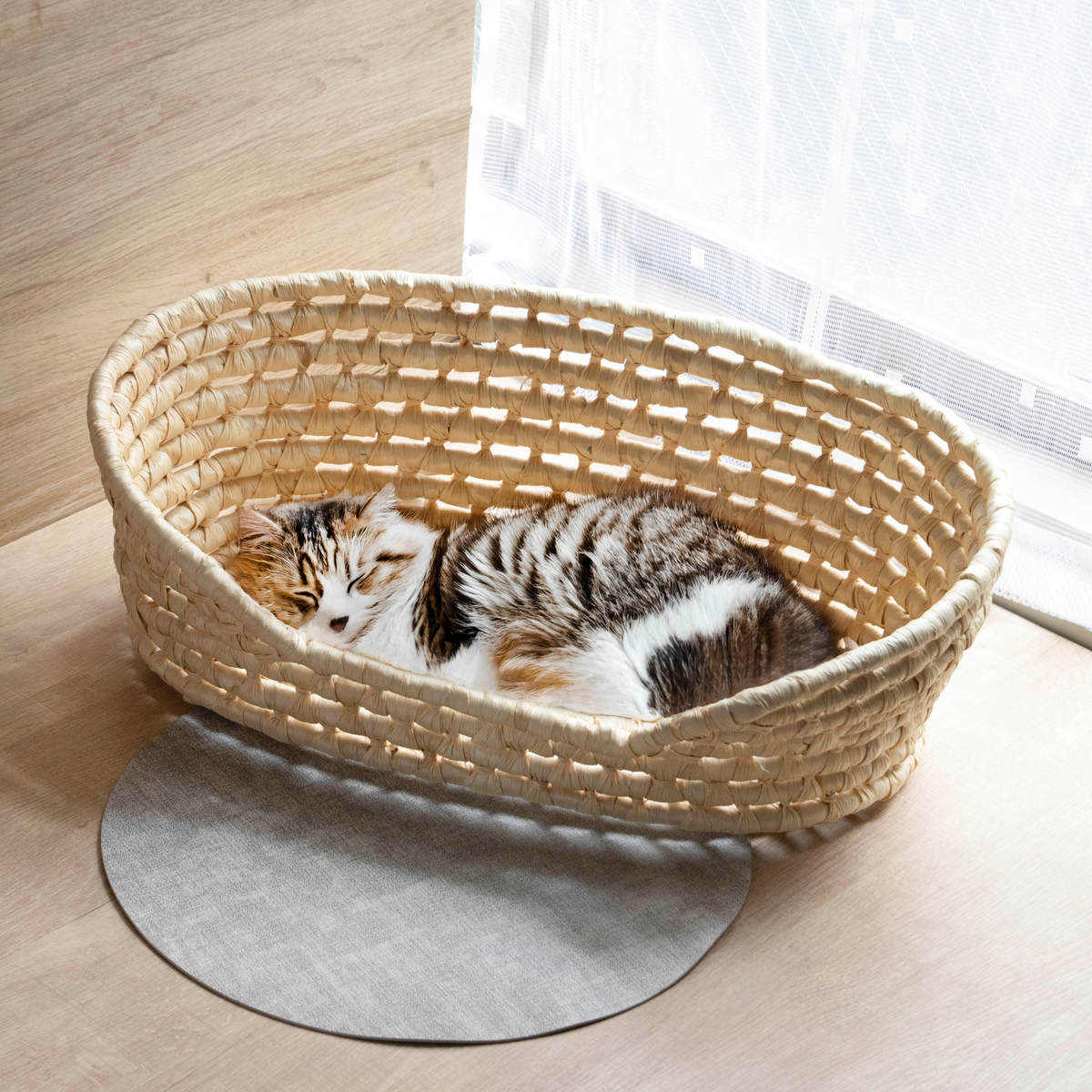 ちどり産業 ペットベッド メイズペットバスケット 天然素材