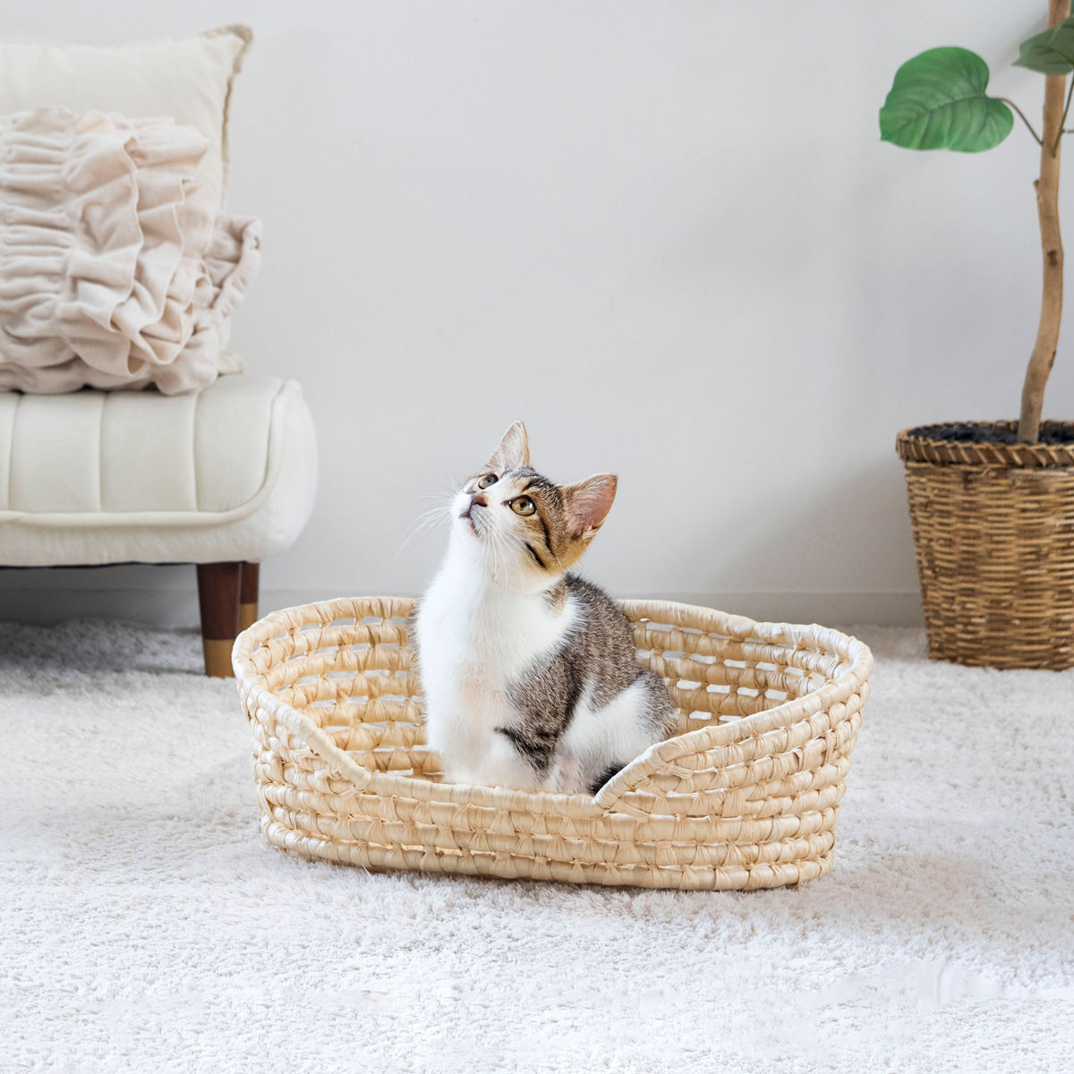 ちどり産業 ペットベッド メイズペットバスケット 天然素材