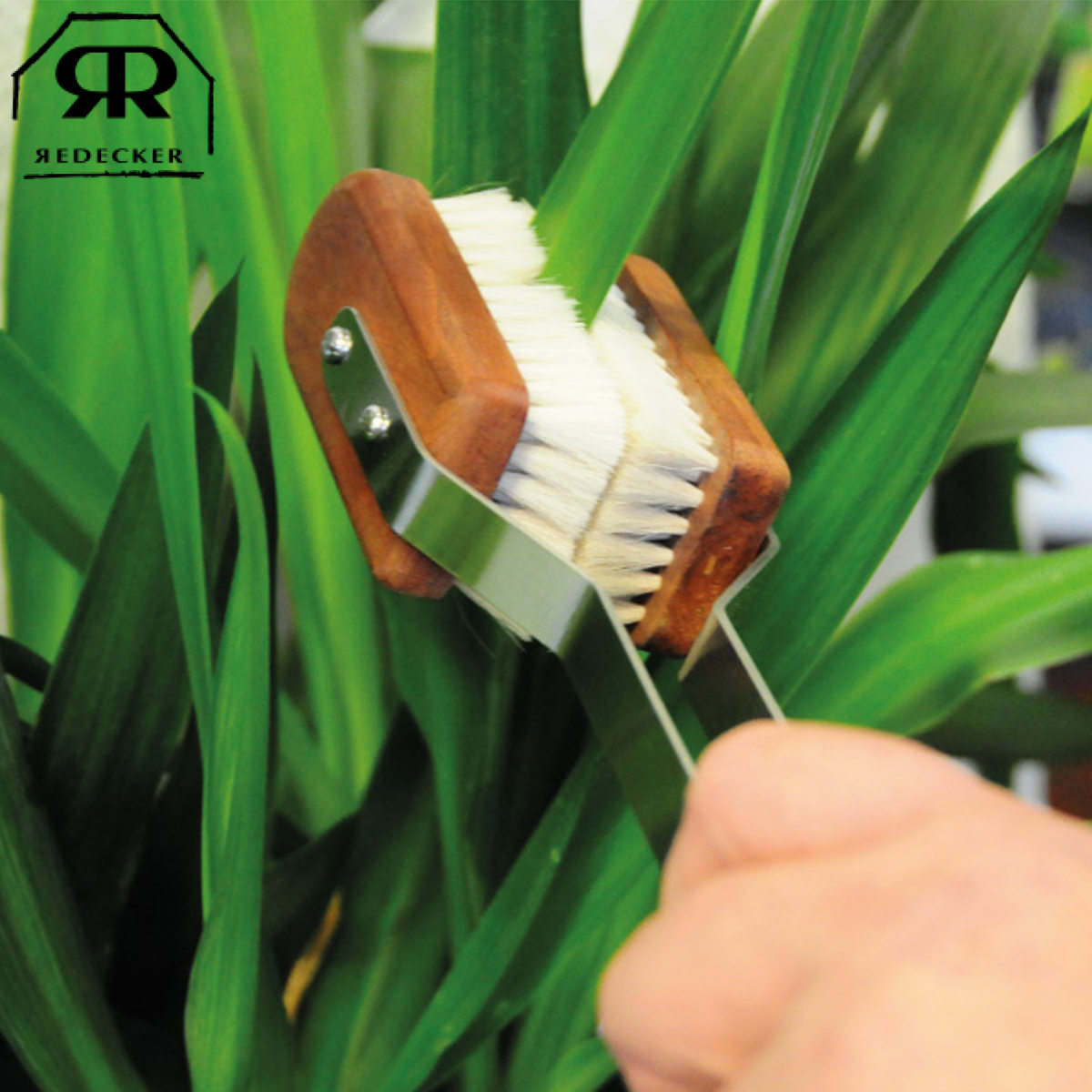 Redecker レデッカー 観葉植物 ブラシ リーフブラシ 35cm （ 植物 ほこり取り 観葉植物用ブラシ 掃除ブラシ 山羊毛 木製 ドイツ製 おしゃれ ）