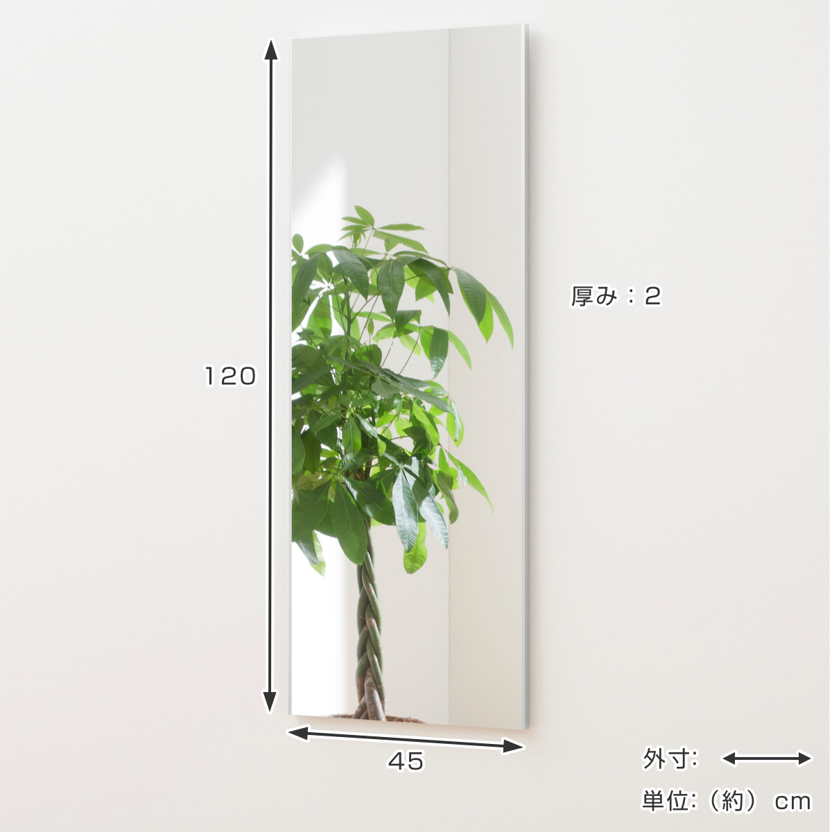 割れない鏡 リフェクスミラー スタンダード 吊式 細枠 姿見 45×120cm