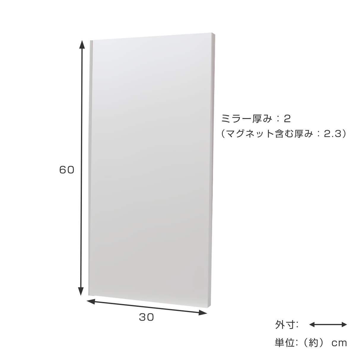 割れない鏡 リフェクスミラー マグネットタイプ 姿見 30×60cm （ 鏡