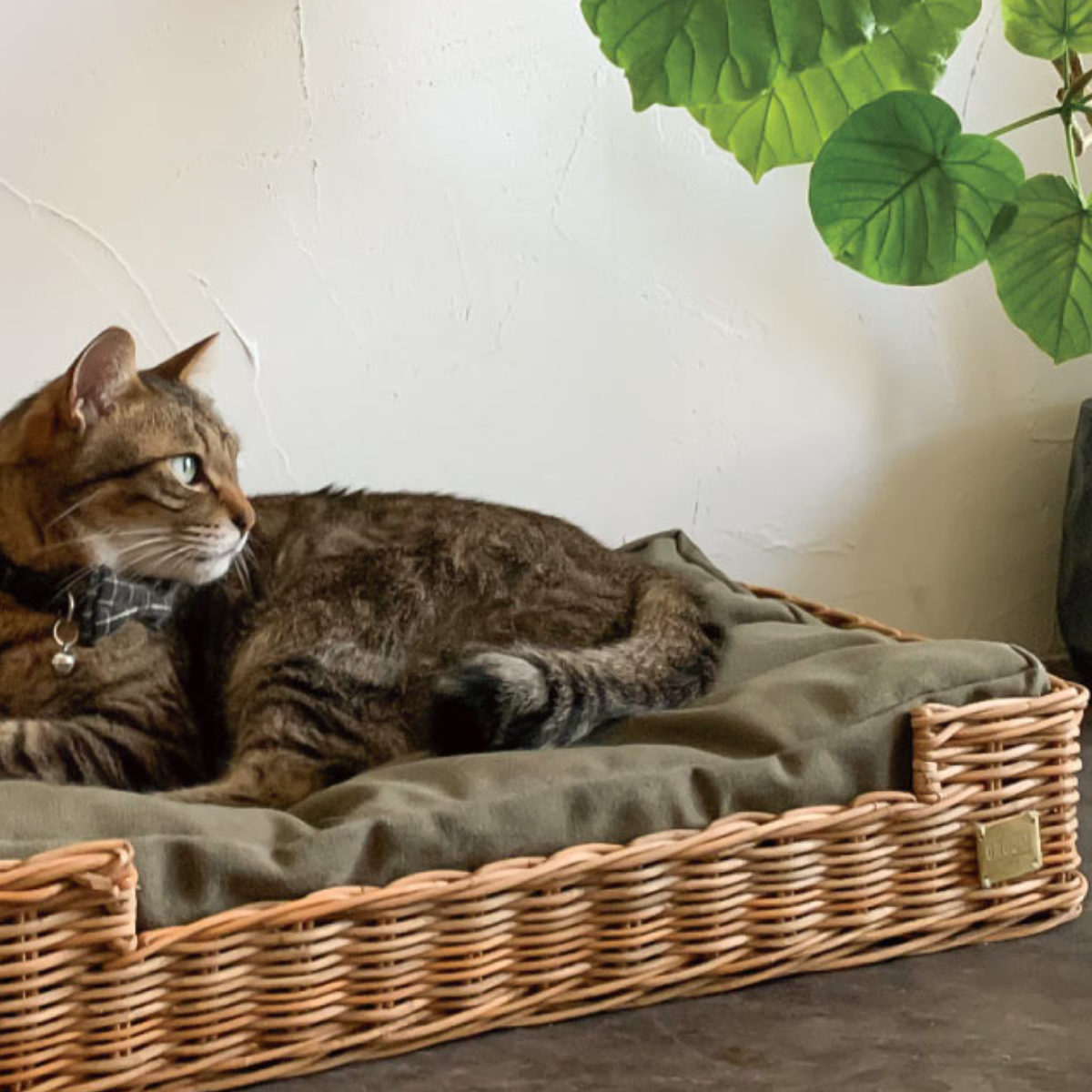 Creer ベッド 猫 四角 ラタン クッション付き 洗える （ ペットベッド