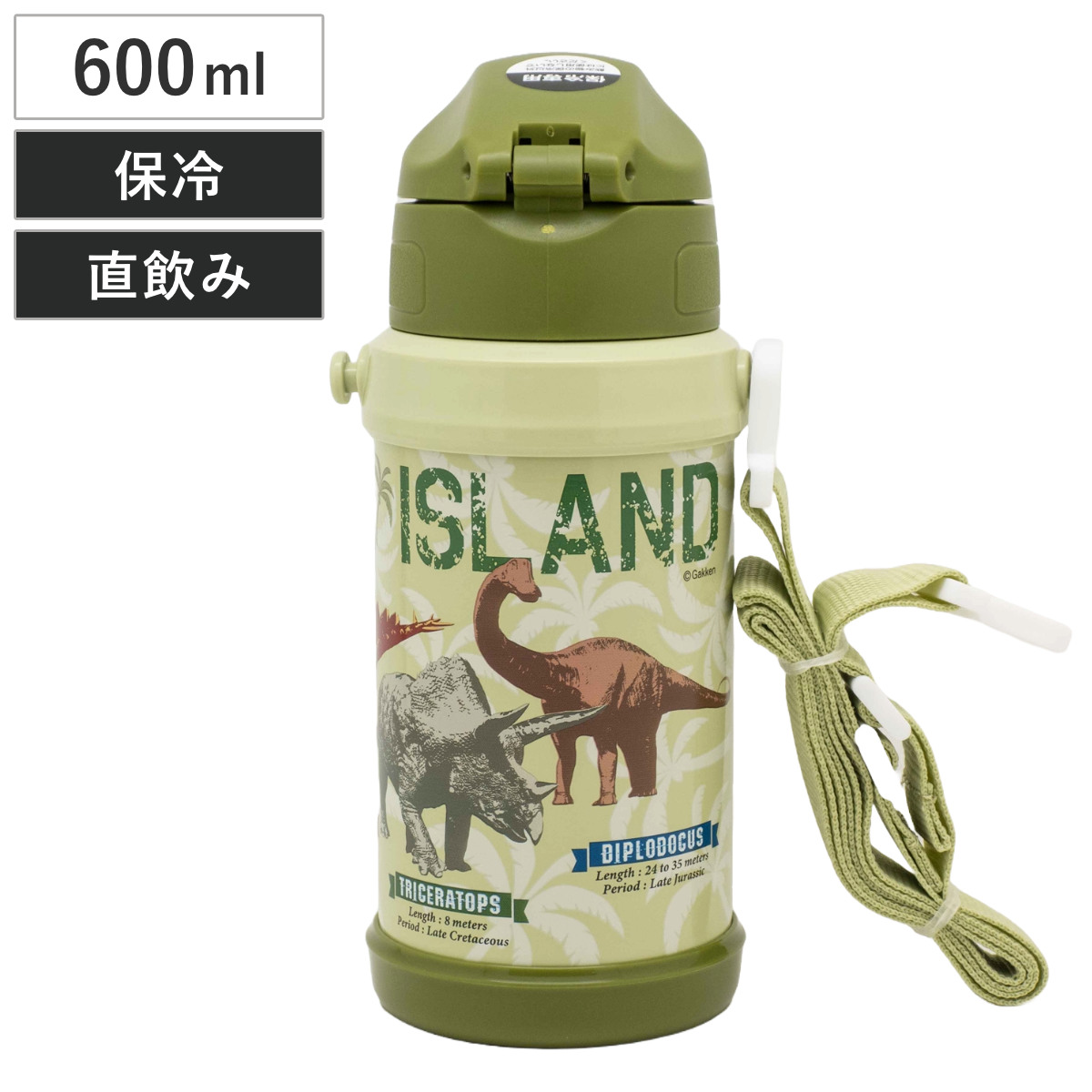 OSK（オーエスケー） 水筒 600ml ダイレクトステンレスボトル 学研の