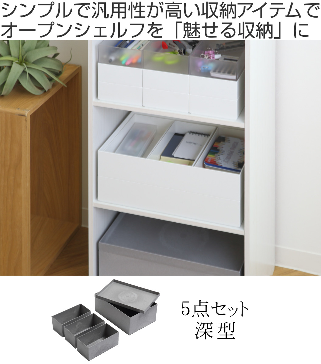 Like-it（ライクイット） 収納ケース タイディアップボックス 深型 5点 
