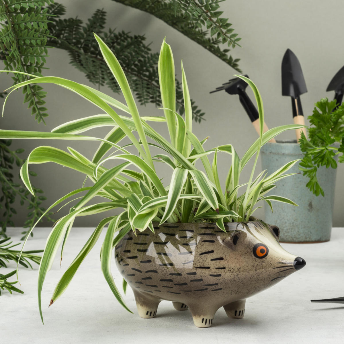 Hannah Turner（ハンナターナー） プランター ハリネズミ イノシシ