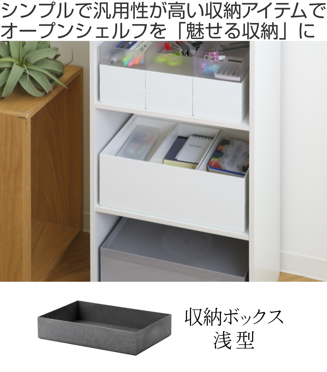 Like-it（ライクイット） 収納ボックス タイディアップボックス S3725