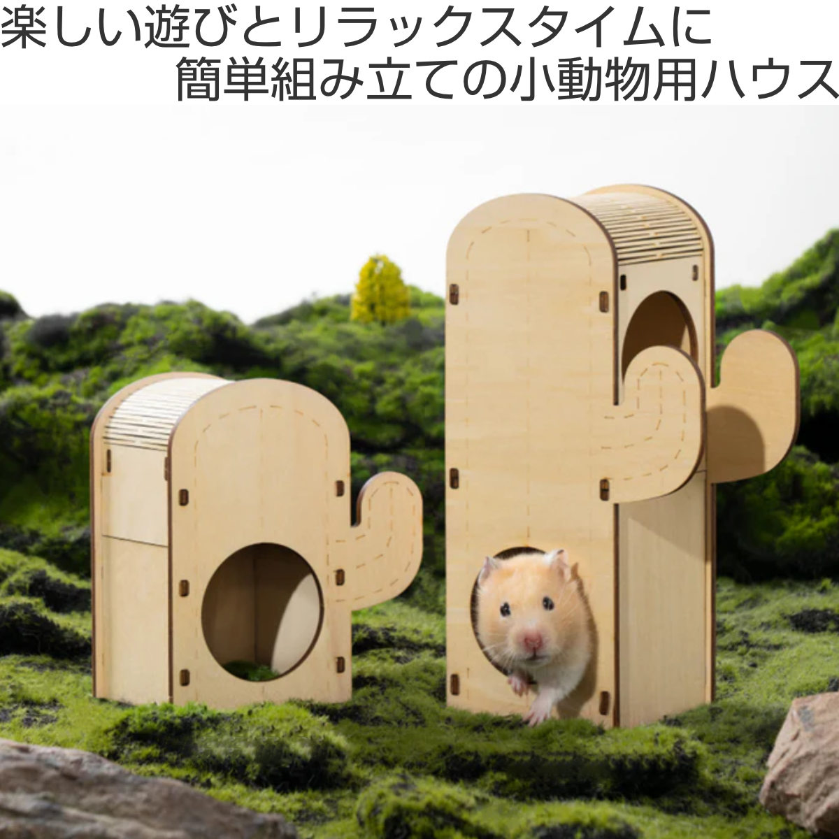 ケージ ハムスター ミオファン DIYハウス カクタス S （ ハムスターケージ 小動物用ケージ 小動物用 遊び場 ペット 飼育 ハウス DIY ）