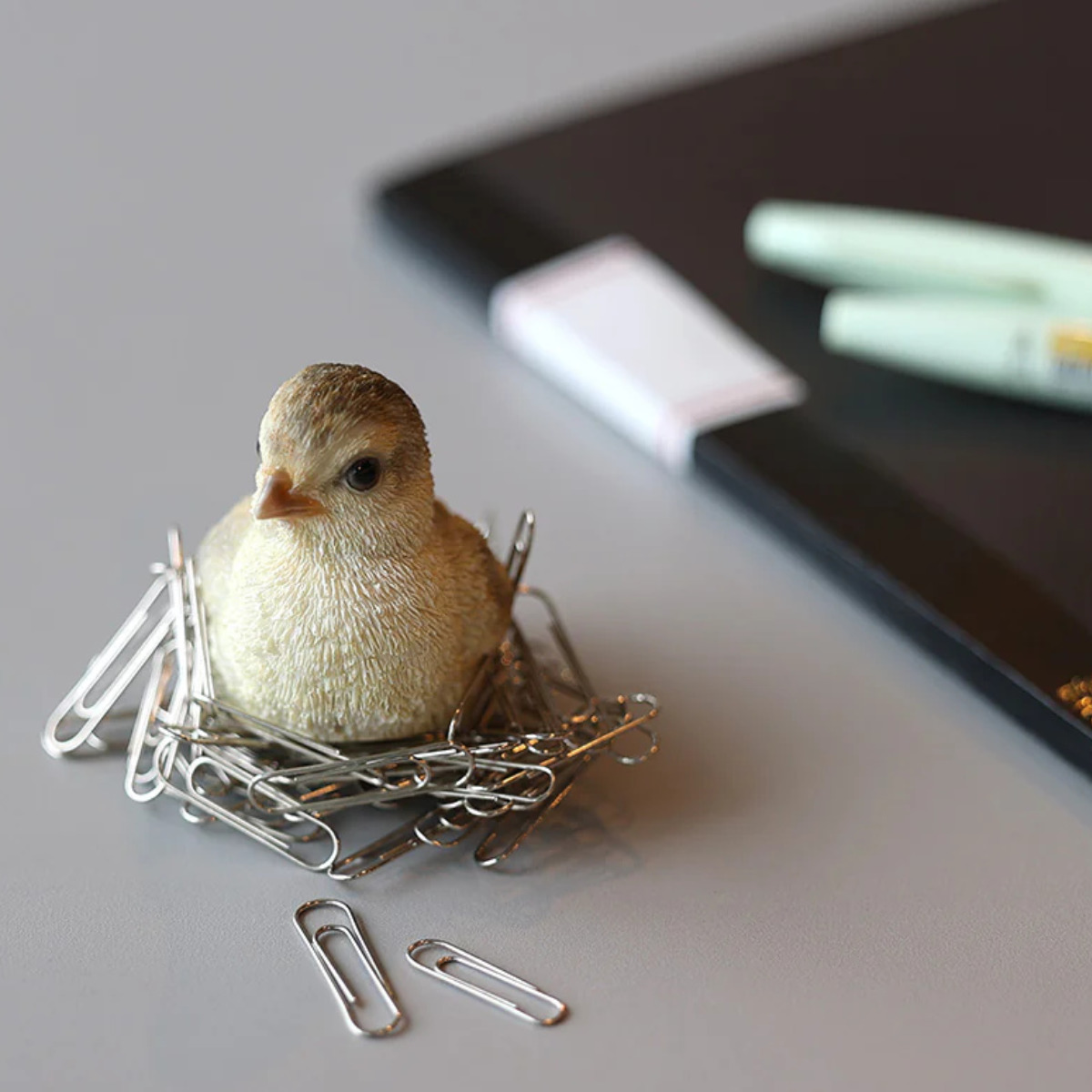 magnet オブジェ BIRDIE BILL BABY マグネット付き （ 置物 鳥 動物