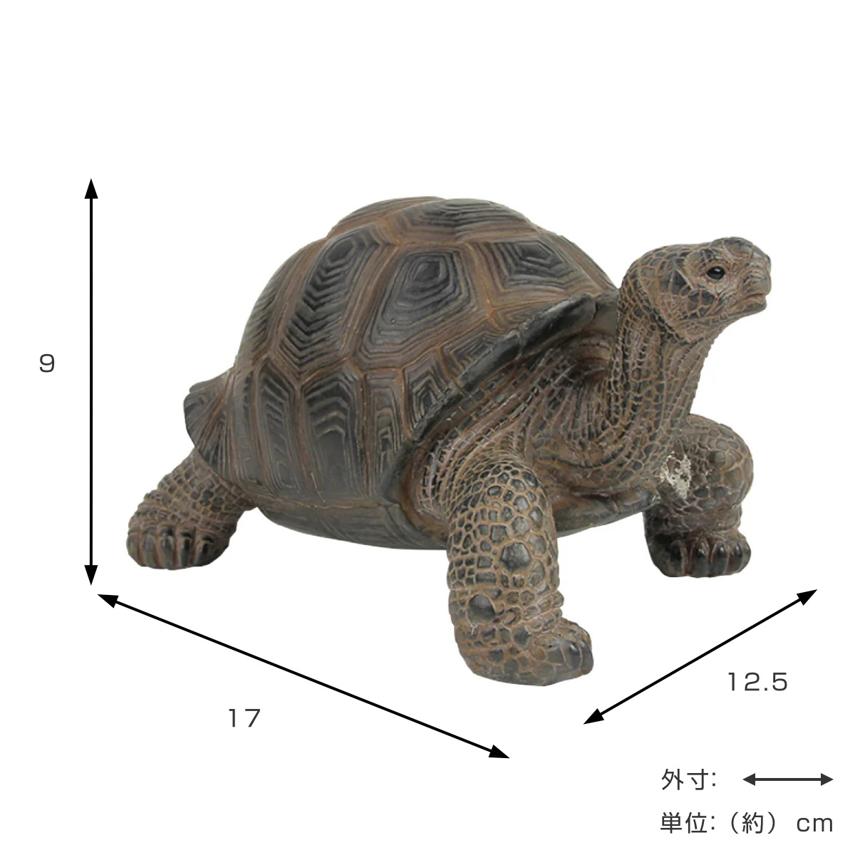 magnet オブジェ リクガメ ペットバンク 貯金箱 （ 置物 動物 雑貨