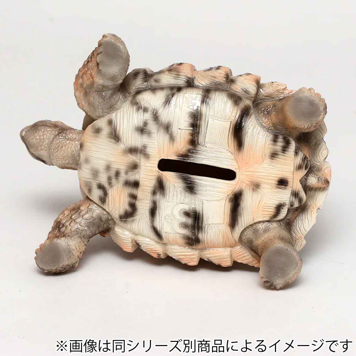 magnet オブジェ インドホシガメ ペットバンク 貯金箱 （ 置物 動物