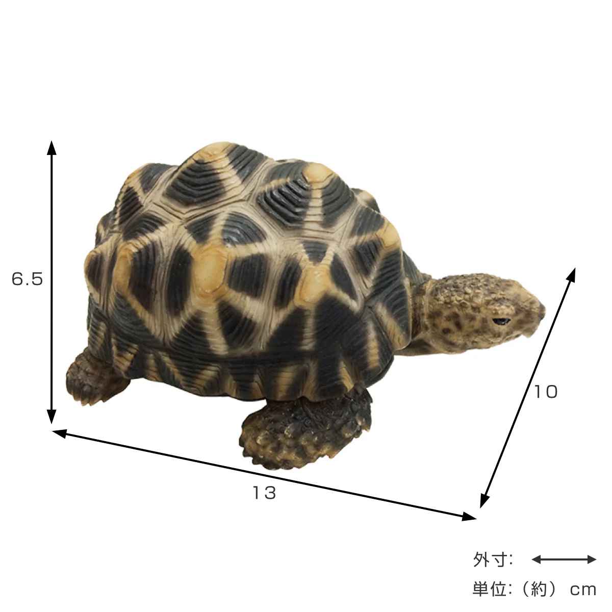 magnet オブジェ インドホシガメ ペットバンク 貯金箱 （ 置物 動物