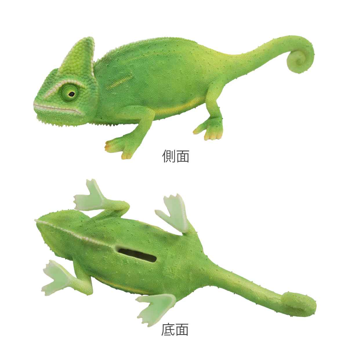 magnet オブジェ カメレオン ペットバンク 貯金箱 （ トカゲ 置物 動物